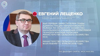 Отдельная тема: "День поля Новосибирской области – 2019"