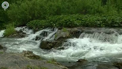 В Бурятии нашли тело пропавшей туристки из Новосибирска