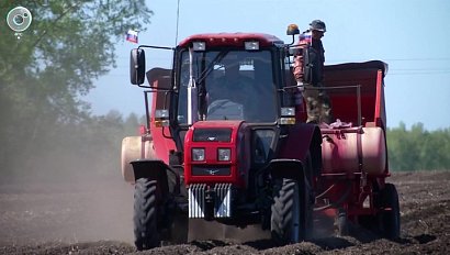 Полным ходом: все районы Новосибирской области начали посевную