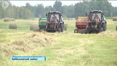 Жаркая и сухая погода мешает сенокосу в Куйбышевском районе