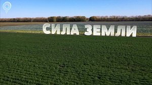 Программа "СИЛА ЗЕМЛИ": 13 марта 2020