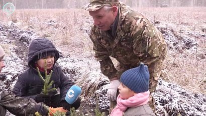 Посадки на вырост. Как ордынские школьники совместили работы в лесу и уроки ботаники?