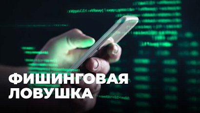 Новосибирец участвовал в обмане продавцов в Интернете?