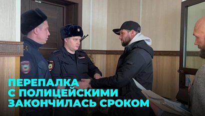 Встретил полицейских с молотком в руке и распылил в них перцовку