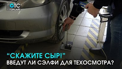 Сэлфи возле авто обяжут делать эксперта при проведении техосмотра