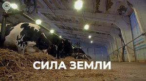 Программа "СИЛА ЗЕМЛИ" | 08 апреля 2023 | Телеканал ОТС