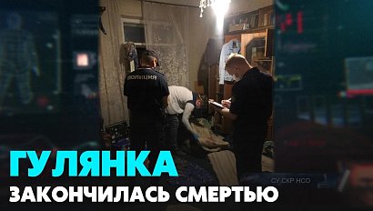 Двух граждан Узбекистана будут судить за убийство в Новосибирске | Главные новости дня