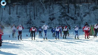 Программа "Спортивная губерния": 25 ноября 2016