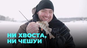 Чемпионат по ловле рыбы на мормышку