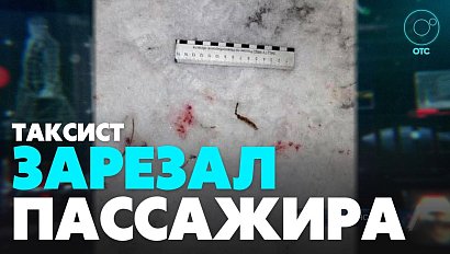 Против таксиста, убившего пассажира, возбуждено уголовное дело