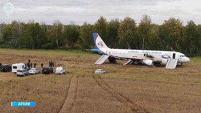 Севший в поле под Новосибирском самолёт решили разобрать на запчасти