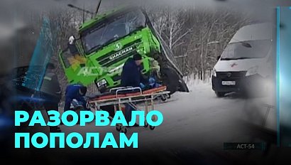 Hyundai Porter выехал на встречку в Черепановском районе