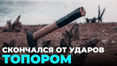 Забила мужа топором до смерти жительница Мошковского района