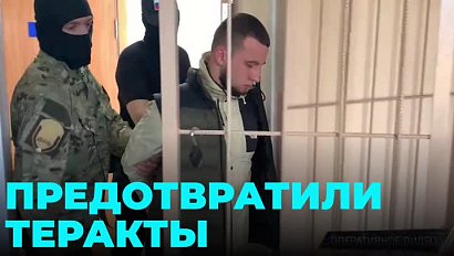 Серию терактов и провокаций предотвратили в Новосибирской области