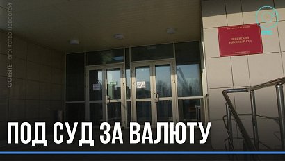 Новосибирца будут судить за вывод денег за границу