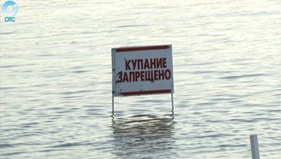 НОВОСТИ 18-00: 23 июня 2016