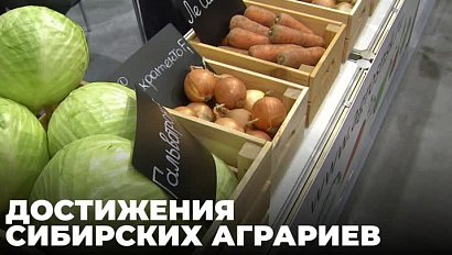 Цифровые технологии внедряют в сельское хозяйство