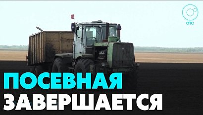 Больше половины посевных площадей освоены в Новосибирской области