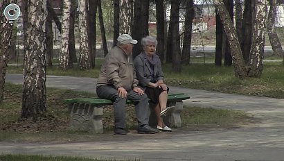 В Бердске появится новый парк. Как проголосовать за благоустройство территорий в других районах НСО?