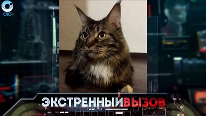 Экстренный вызов: 16 января 2017