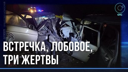 15-летняя девочка и двое взрослых погибли в аварии на трассе в Новосибирской области