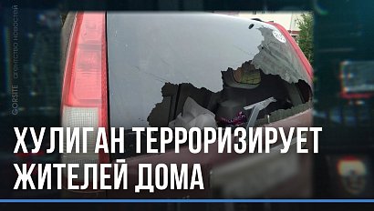 «Страх и ненависть» по-соседски или кто терроризирует целую пятиэтажку?