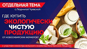 ОТС:Live | Где купить экологически чистую продукцию от новосибирских фермеров? | «Отдельная тема»