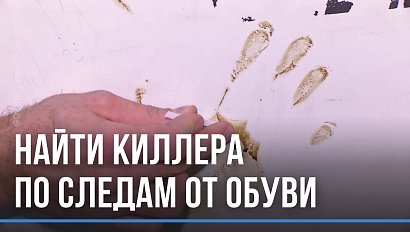 Криминалисты: наука и техника на службе закона