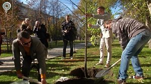 Именные деревья в честь выдающихся артистов высадили в Новосибирске