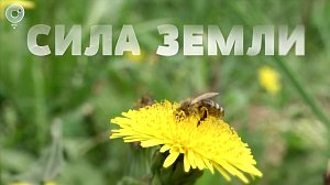 Программа "СИЛА ЗЕМЛИ": 05 июня 2020