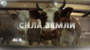 Программа "СИЛА ЗЕМЛИ" | 19 марта 2021 | Телеканал ОТС