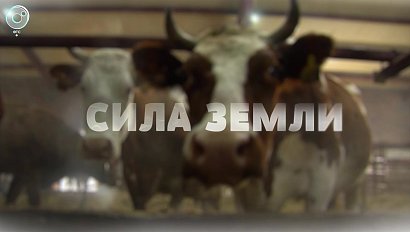 Программа "СИЛА ЗЕМЛИ" | 19 марта 2021 | Телеканал ОТС