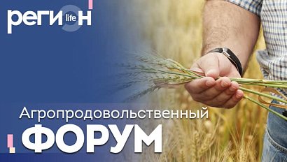 Регион LIFE | Агропродовольственный форум | ОТС LIVE — прямая трансляция