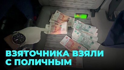 Замарал руки: чиновника взяли с поличным при получении взятки