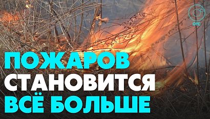 В шесть раз выросло количество пожаров в Новосибирской области