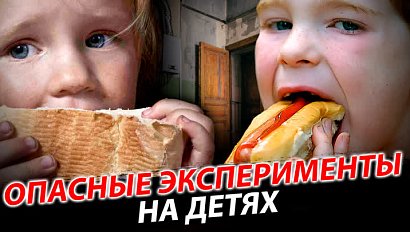 Овощи вместо мяса: осознанный выбор или жестокий эксперимент над ребёнком? | Стрим ОТС LIVE — 22 марта