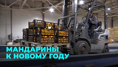 Новогодние мандарины привезли в Новосибирск