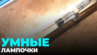 На Венчурной ярмарке «Технопрома» новосибирские конструкторы представят необычные светодиодные лампы