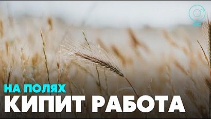 Совещание аграриев прошло в Здвинском районе