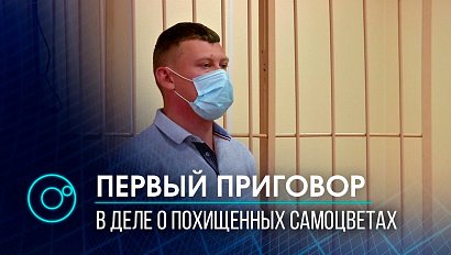 Депутата Хоменко признали виновным в присвоении изумрудов на миллион рублей | Телеканал ОТС