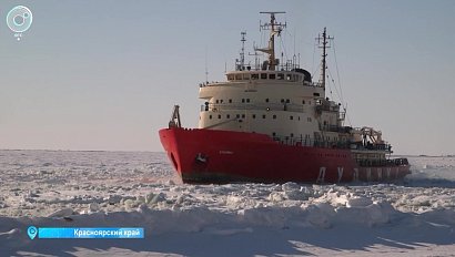 Вверх по карьерной лестнице, ведущей в Заполярье. Какие вакансии предлагают студентам на Севере?