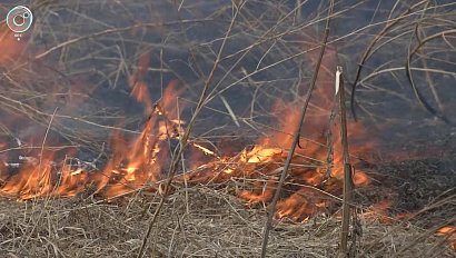 НОВОСТИ ДНЯ: 14 октября 2019