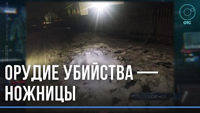 Зарезал собутыльника ножницами: предполагаемого убийцу будут судить в Барабинске