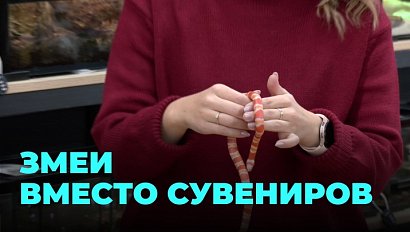 Змея на Новый год: оригинальный подарок или головная боль?