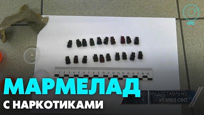 Наркотики в «мармеладных мишках» распространяли новосибирцы