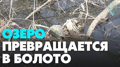 Жители микрорайона Новомарусино вышли на большой субботник