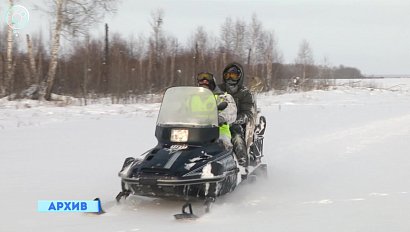 20% лицензий на отстрел лосей и косуль в Новосибирской области будут разыгрывать в лотерею