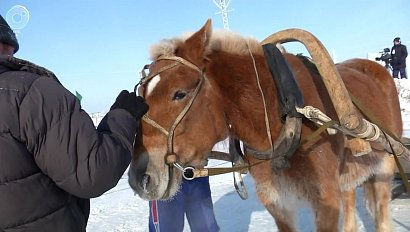 НОВОСТИ УТРА: 04 декабря 2018