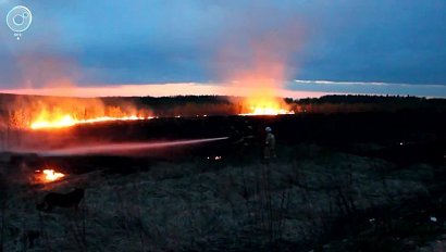 НОВОСТИ 20-30: 31 октября 2018