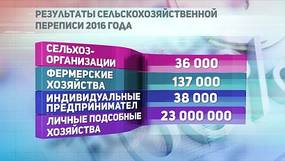 ДЕЛОВЫЕ НОВОСТИ: 05 октября 2017